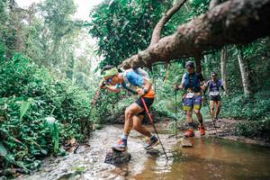 BIB: 
                            <button type="button" onclick="openModal(25368642)" class="btn btn-primary btn-sm float-right btn-popup" data-toggle="modal" data-target=".modal-high-quality">
                        <i class="fas fa-shopping-cart"></i> Add to Cart
                    </button>
                                            <button type="button" onclick="isThisMe(25368642, true)" class="btn btn-success btn-sm float-right btn-popup btn-isme hidden" data-toggle="tooltip" data-placement="bottom" title="นี่คือรูปของคุณใช่ไหม คลิกที่นี่เพื่อเอาเข้าอัลบั้ม">
                        <i class="fas fa-plus"></i> Add to album
                    </button>
                    <button type="button" onclick="isThisMe(25368642, false)" class="btn btn-warning btn-sm float-right btn-popup btn-isnotme hidden">
                        <i class="fas fa-ban"></i> Remove from album
                    </button>